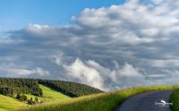 schwarzwald