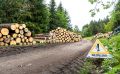 schwarzwald