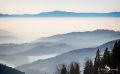schwarzwald
