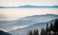 schwarzwald