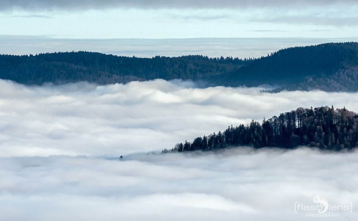 schwarzwald