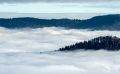 schwarzwald