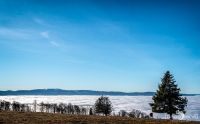 schwarzwald