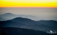 schwarzwald