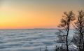 schwarzwald
