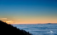 schwarzwald