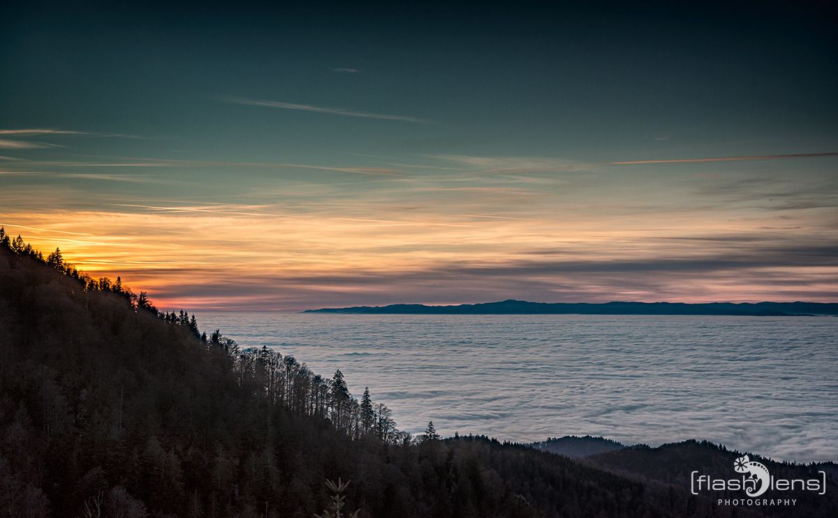 schwarzwald