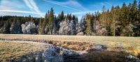 schwarzwald