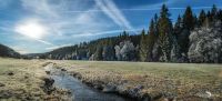 schwarzwald