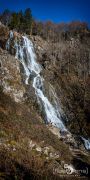 schwarzwald
