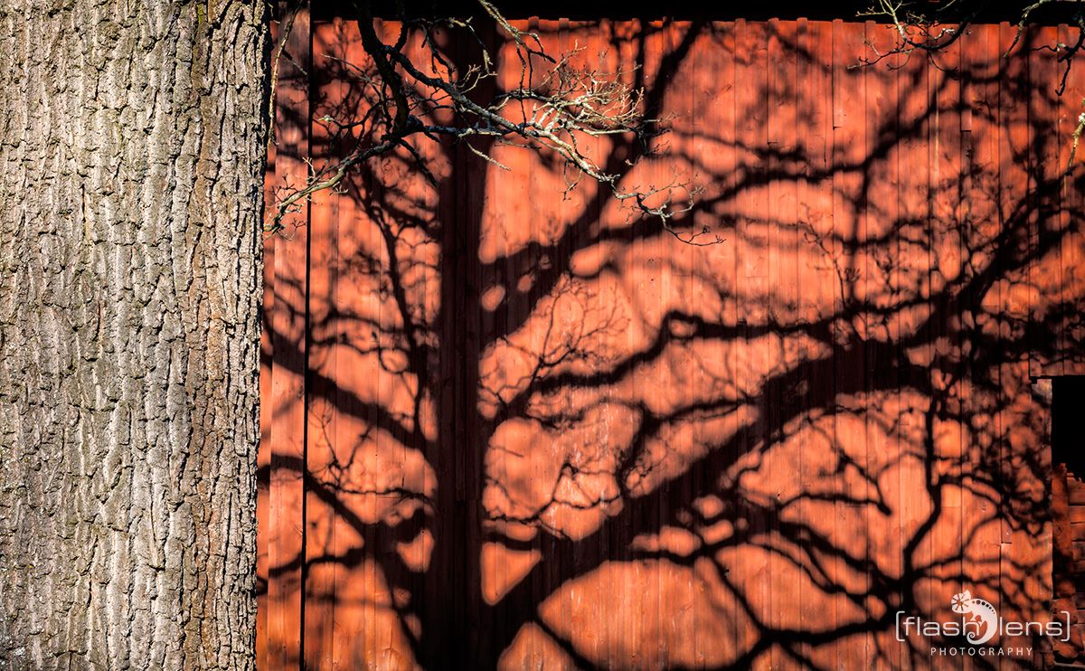 07 skansen museum