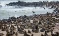 08 swakopmund
