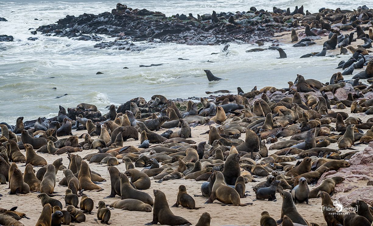 08 swakopmund