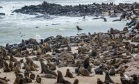08 swakopmund