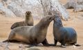 08 swakopmund