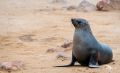 08 swakopmund