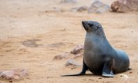 08 swakopmund