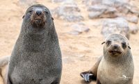 08 swakopmund