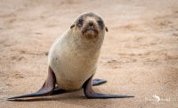 08 swakopmund