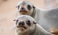 08 swakopmund