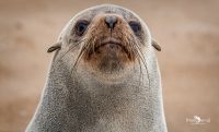 08 swakopmund