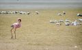 08 swakopmund