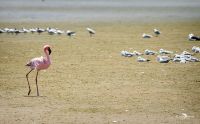 08 swakopmund