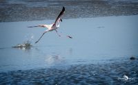 08 swakopmund