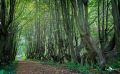 uckermark