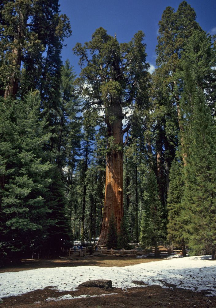 usa 1993