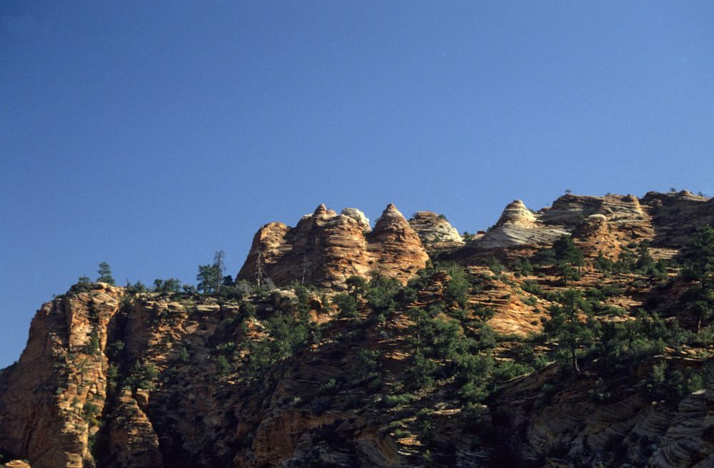usa 1993