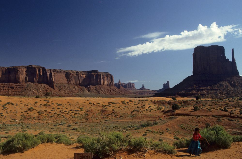 usa 1993