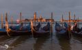 venedig 2014