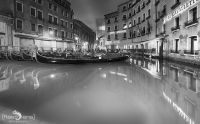 venedig 2014