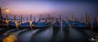 venedig 2015