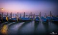 venedig 2015