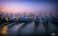 venedig 2015