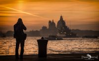 venedig 2015