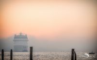 venedig 2015