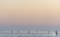 venedig 2015