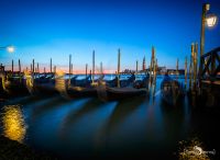 venedig 2016