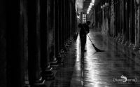 venedig 2016