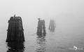 venedig im januar