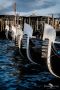 venedig im januar
