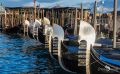 venedig im januar