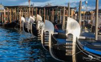 venedig im januar