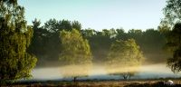 wahner heide