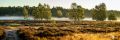 wahner heide
