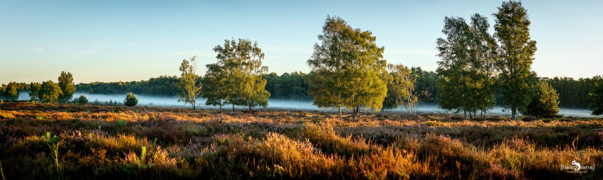 wahner heide