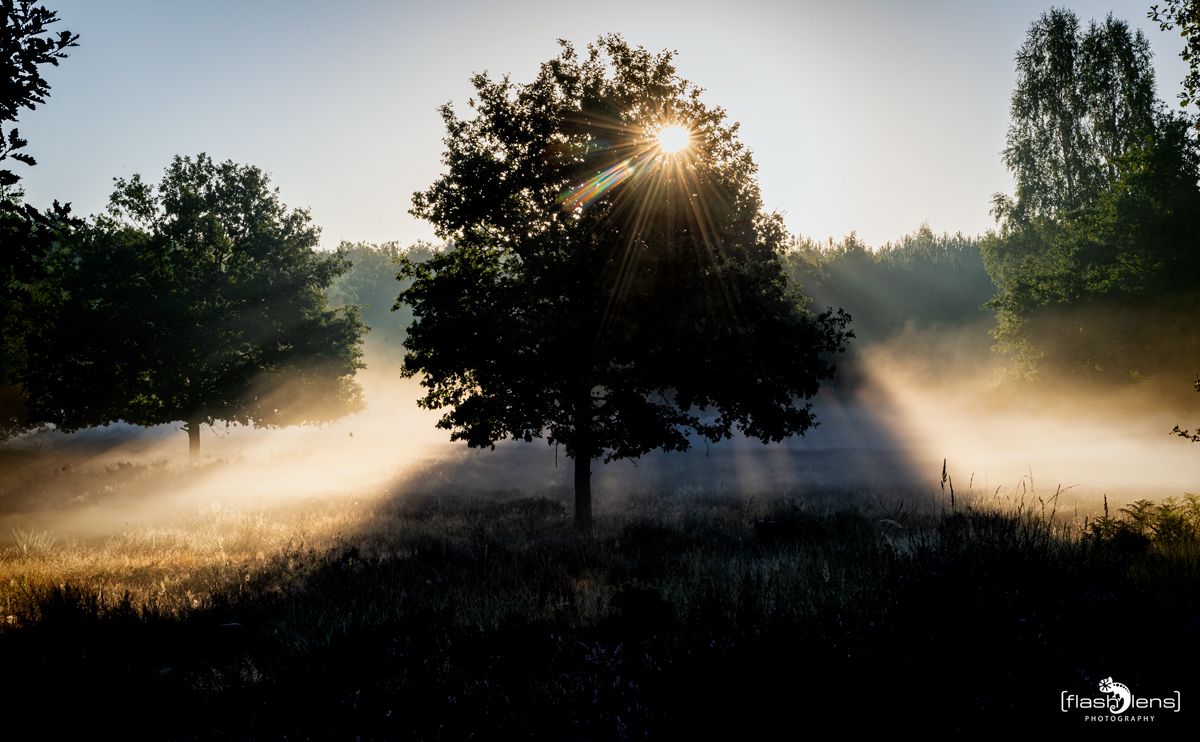 wahner heide